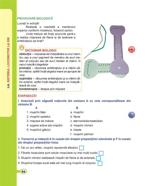 Biologie Pentru Clasa A Vii A A Pdf Pag