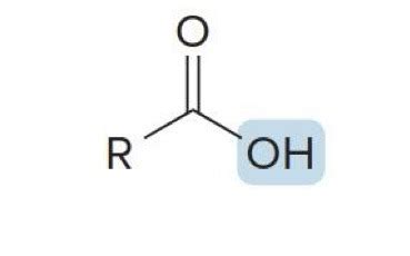 Ochem Ch Flashcards Quizlet