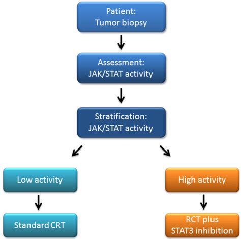 Cancers Special Issue Stat3 Signalling In Cancer Friend Or Foe