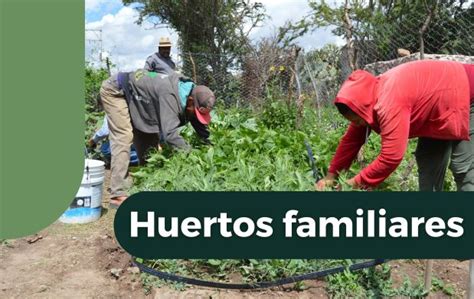 Huertos Familiares Producci N Y Nutrici N Para Todos Representaci N