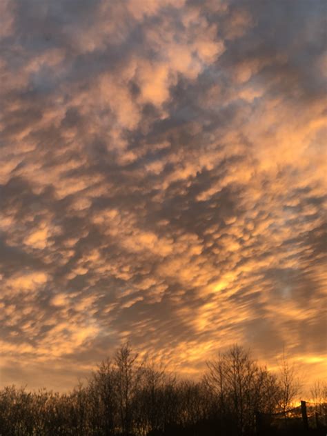 Evening Sky Sundown Clouds Golden Hour Sky Aesthetic Golden Hour Sky