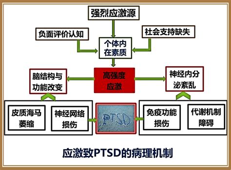 谨防疫情下的创伤后应激障碍凤凰网