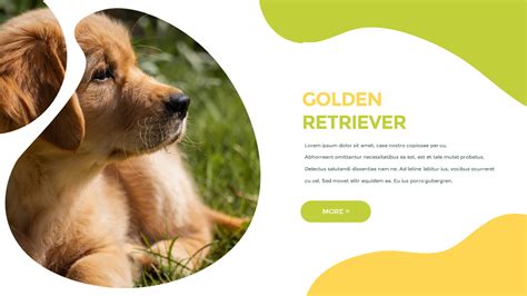 All Dog Breeds Powerpoint Presentation Templateslifestyle