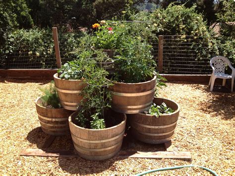 Whiskey Barrel Planter Ideas for Full Sun – Artourney