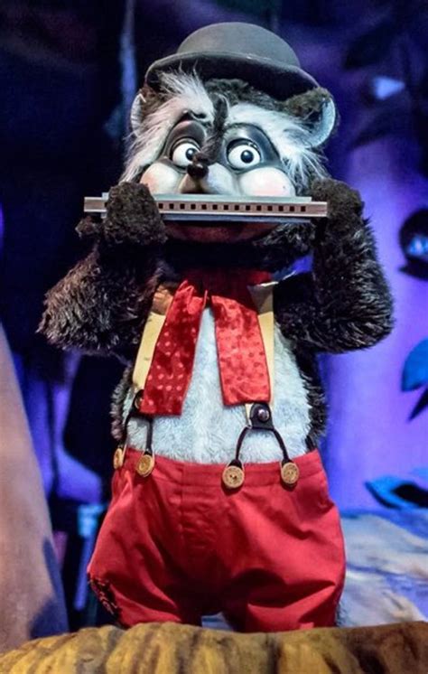 Brer Raccoon Disney Parks Wiki Fandom