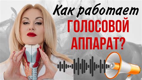Как работает голосовой аппарат? - YouTube