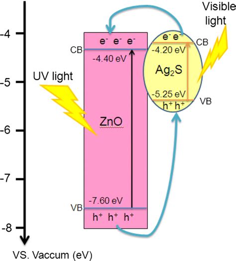 Schematic Diagram Of Photoexcited Electronhole Pairs Separation In