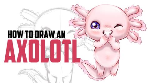 How To Draw An AXOLOTL YouTube