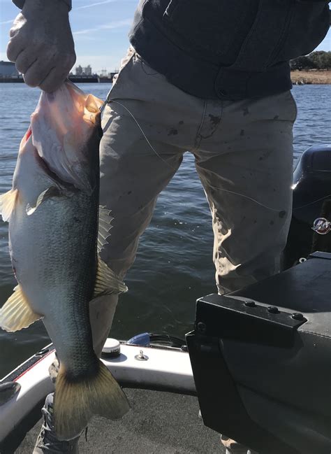 12418 Matt With A Lftc Spoon Pig Bass Fishing Photos Fayette