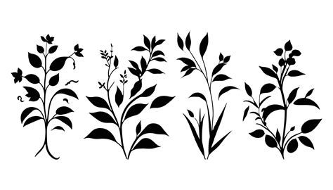 Beautiful Small Plants Silhouette Vector, Plants Vector, Plant ...