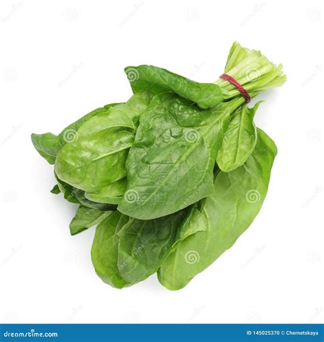 Bundle Of Fresh Spinach Isolated On White Stock Photo Image Of Green