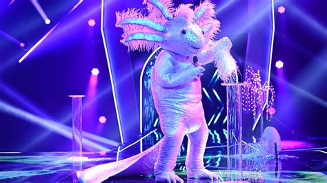 „the Masked Singer“ Teddy Enttarnt Experten Sind Sicher Dieser Sport