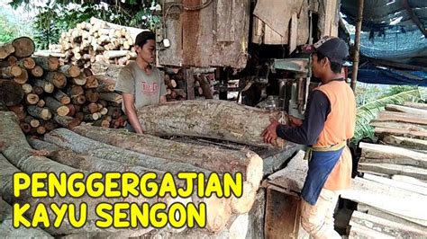 Sawmill Penggergajian Kayu Sengon Youtube