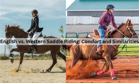 English Vs Western Saddle Riding Comfort And Similarities