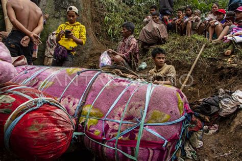 Ritual Manene Suku Toraja Dari Leluhur Untuk Leluhur Antara Foto