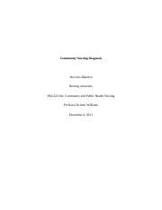 Community Nursing Diagnosis Revised Docx Community Nursing