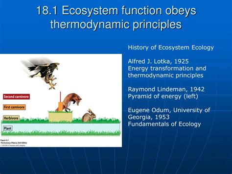 Ppt Biol Principles Of Ecology Lecture Ecosystem Ecology