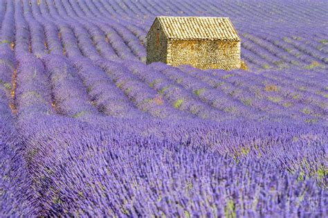 Iconic Provençal Villages And Lavender Fields In France Shootplanet