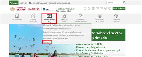 Actualizaci N Del Rfc Por Internet