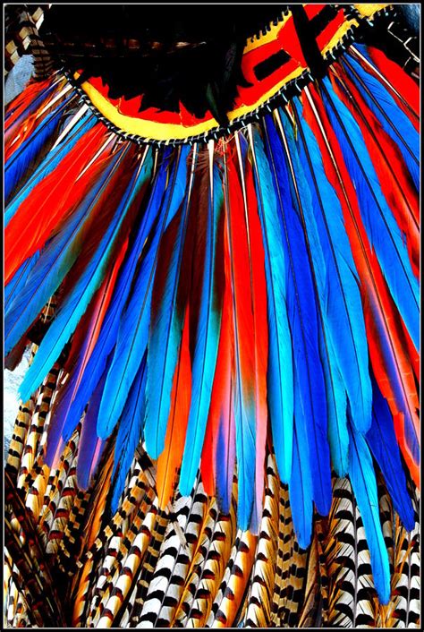 Native American Ceremonial Headdress Photograph By Dora Sofia Caputo Pixels