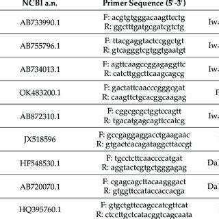 Nucleotide Sequences Of The Primers Used For QRT PCR Analysis Of