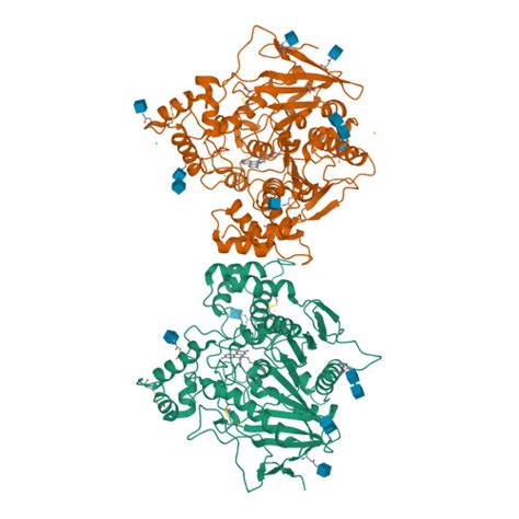 Rcsb Pdb 6esj Human Butyrylcholinesterase In Complex With Propidium