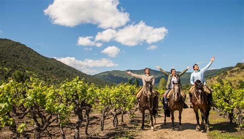 Chile Travel | Your Gateway to Adventure | Discover Chile