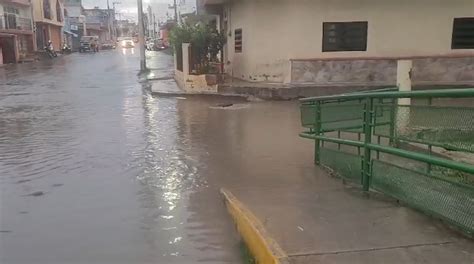 Lluvias Causan Estragos en Río Grande Árboles Caídos y Calles