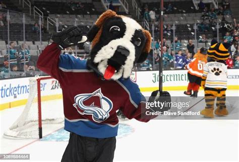 Colorado Avalanche Mascot Photos and Premium High Res Pictures - Getty ...