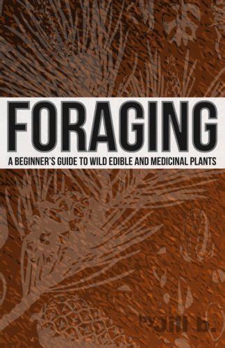 Buy Foraging A Beginner S Guide To Wild Edible And Medicinal Plants