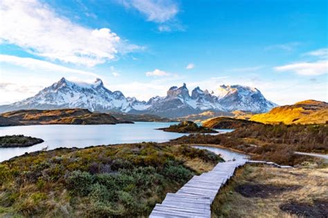 Chile’s Cosmos National Park: A Mesmerising Experience | Krazy Butterfly