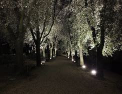 Ripristino E Messa In Sicurezza Dei Corpi Illuminanti Al Parco Del