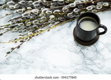 Pussy Willowmarble Images Stock Photos D Objects Vectors Shutterstock