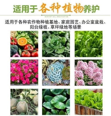 氮磷钾三元通用型 复合肥 有机肥 尿素 花肥蔬菜果树磷肥钾肥盆栽化肥尿素高效肥室内外养花营养土营养液有机肥厂家直销缓释肥 小编推荐