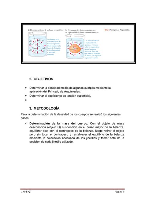 Segundo Informe Tension Superficial Uni Fiqt Pdf