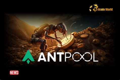 AntPool To Refund The 83 6 BTC Mistakenly Paid As Bitcoin Transaction