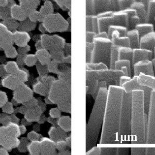 Sem Images Of Vertical Zno Nws Grown On Gan Film A Top View And B