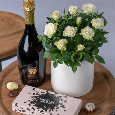 Next Flowers And T Cards Delivered Next Day Prosecco T