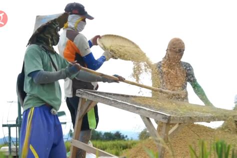 BPS Sebut Petani Gorontalo Semakin Sejahtera ANTARA News