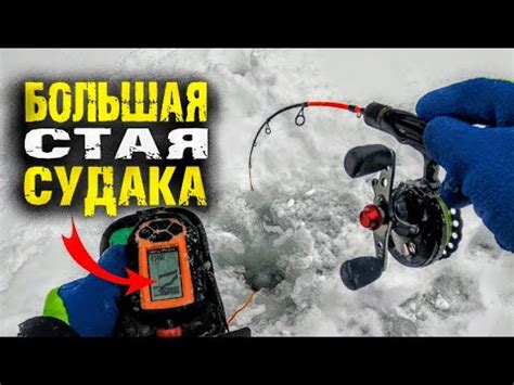 Полно судака, этот раттлин косит судака. Практик 6М подъемы. - YouTube