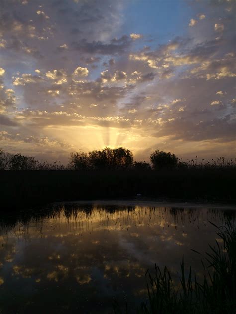 Free Images Landscape Nature Horizon Marsh Cloud Sky Sun