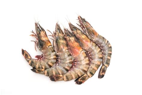 Premium Photo Fresh Tiger Prawn Or Shrimp Isolated On White