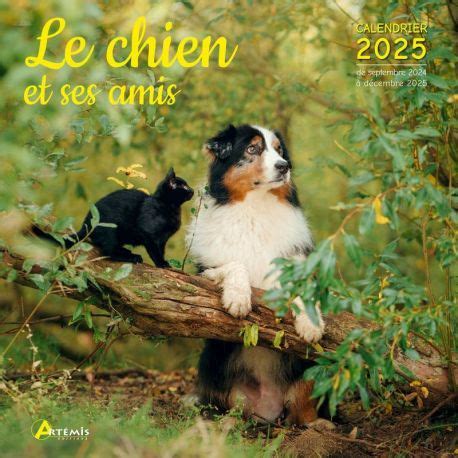 PERIODIQUE CALENDRIER LE CHIEN ET SES AMIS 2025 Cartotheque