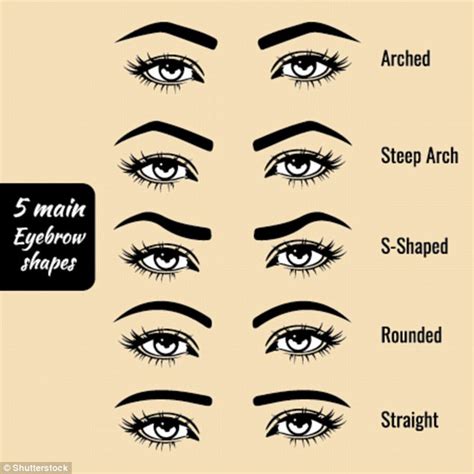 Celebrity brow expert shares the brow shapes that are right for your ...