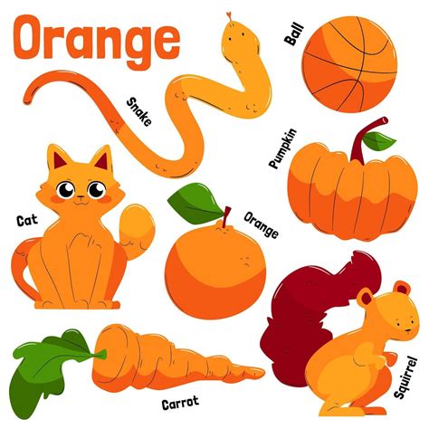 Free Vector Collection Of Orange Objects And Vocabulary Words In