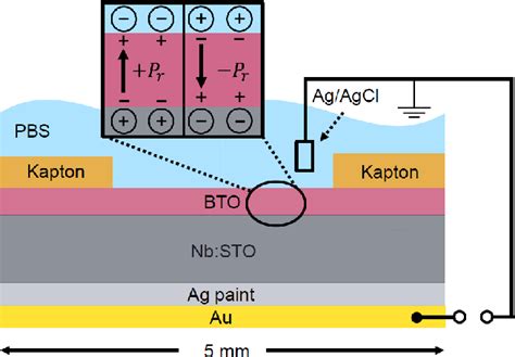 [PDF] Ferroelectricity and resistive switching in BaTiO$_3$ thin films with liquid electrolyte ...