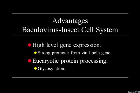 Producing Recombinant Glycoproteins In The Baculovirus Insect Cell