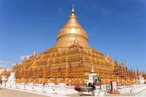 Nyaung U Myanmar Shwezigon Pagoda Pagoda Nyaung U Stupa