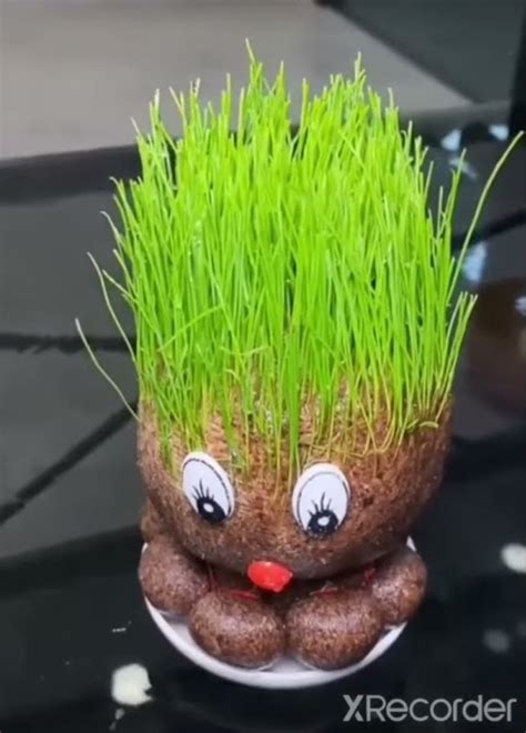 Growing Grass Doll Youtube