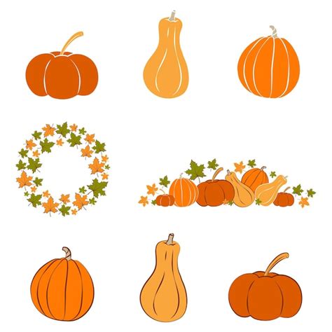 Premium Vector Set Of Hand Drawn Pumpkins